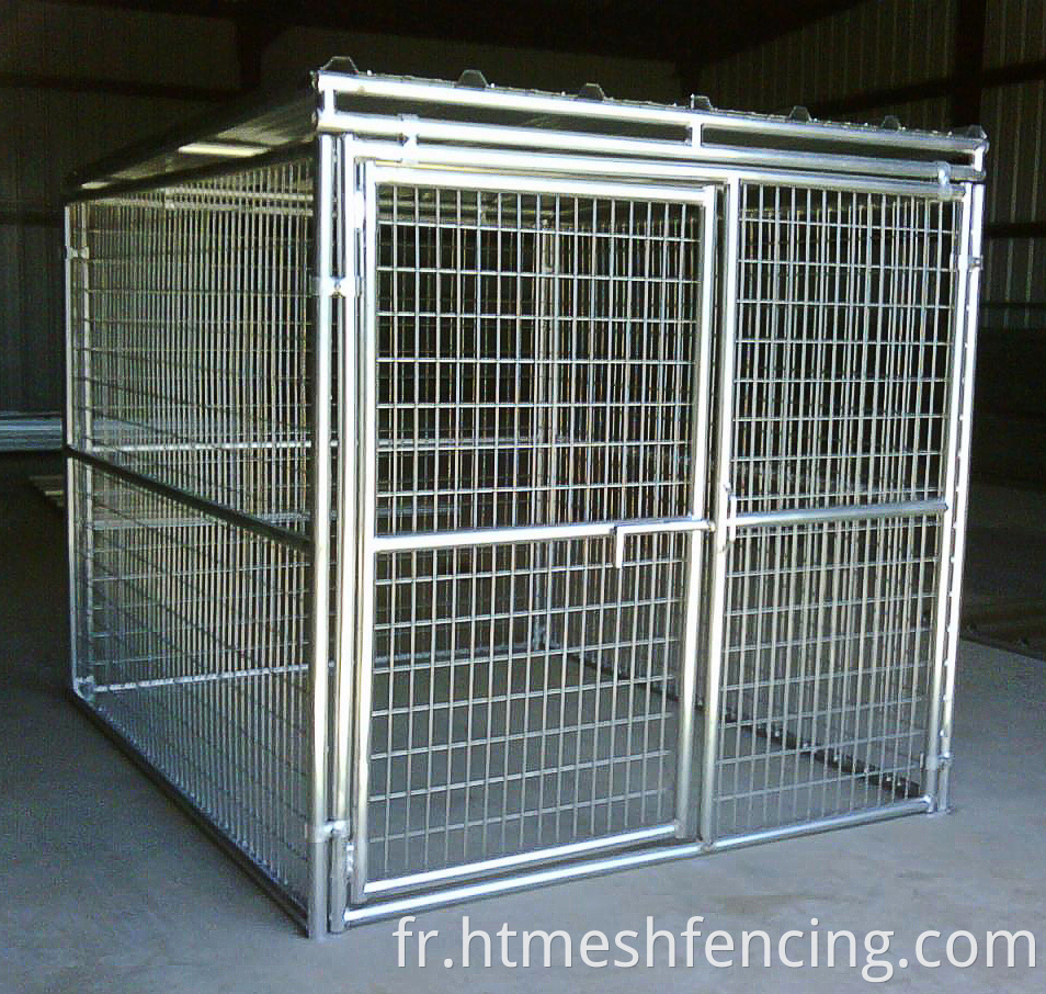 Chine Kennel Outdoor Hournure à chiens soudés Cage galvanisée House pour chiens